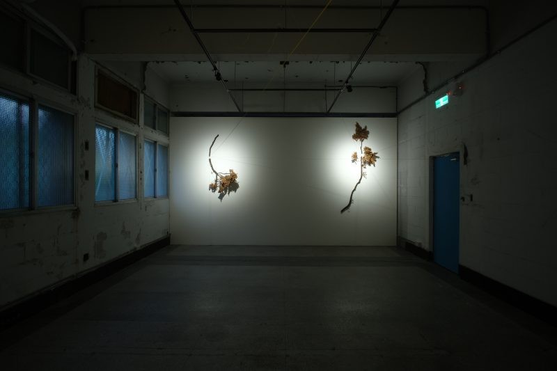 下載 (18)_2